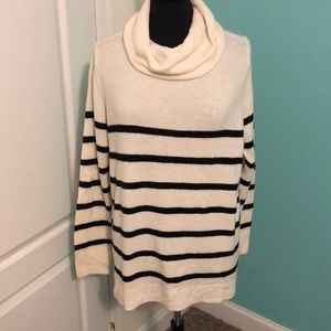 Striped turtle neck sweater